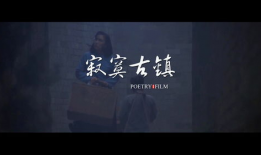 诗电影,诗电影的艺术魅力与情感共鸣