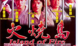 火烧岛电影,燃烧的青春与救赎的火焰