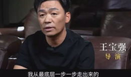 王宝强电影,从农村娃到影坛巨星的电影传奇
