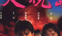 火烧岛电影,燃烧的青春与救赎的火焰