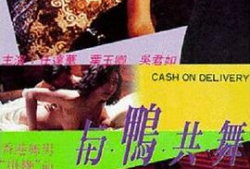 与鸭共舞电影,跨越物种的友谊传奇