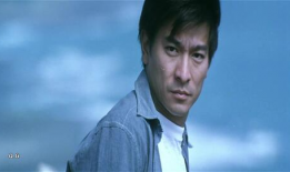 刘德华主演的电影大全,光影岁月，经典再现